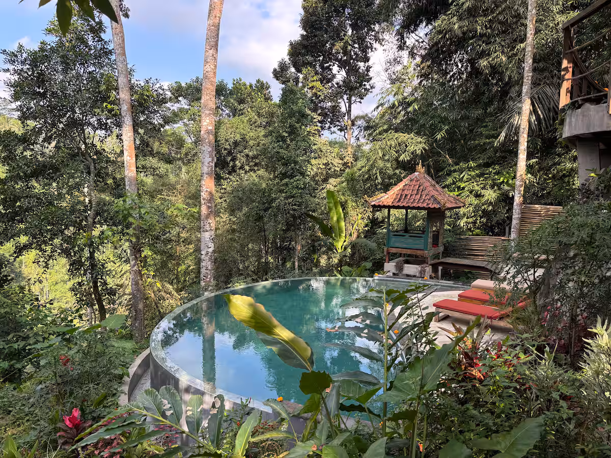 infinity pool with jungle valley view