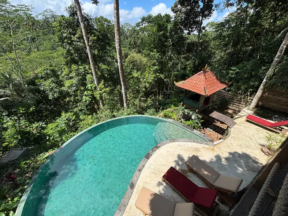 jungle infinity pool