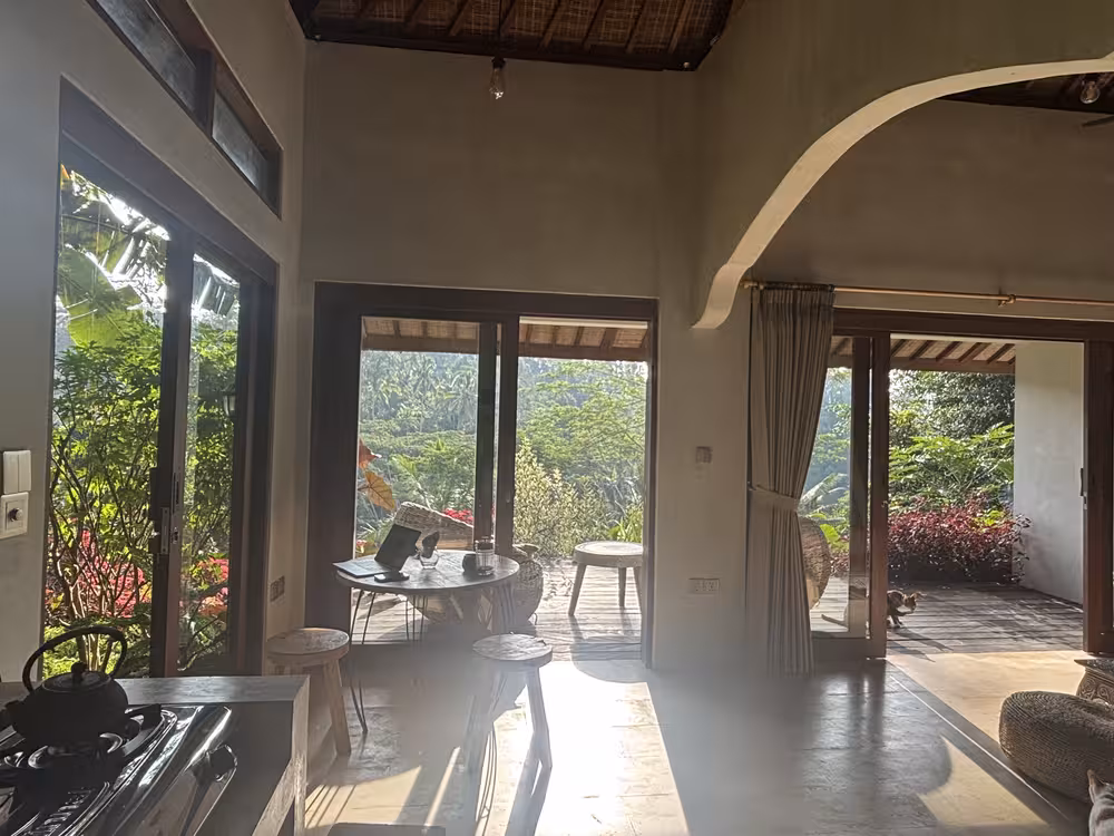 jungle view from kitchen