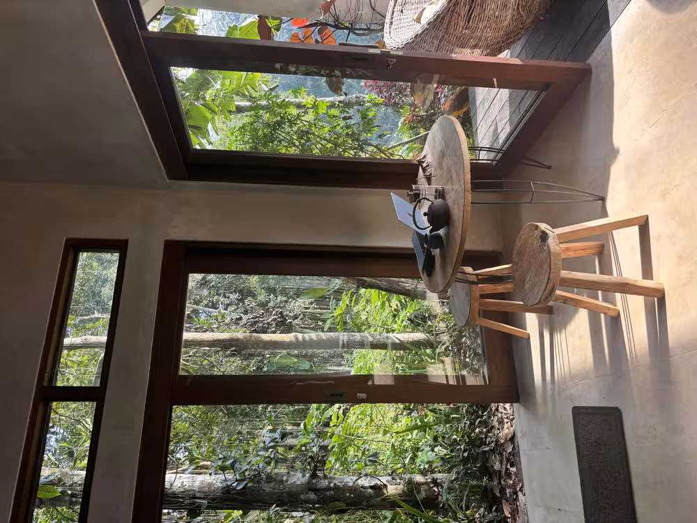 jungle view from your work desk