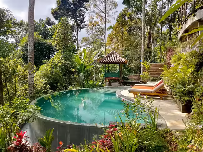 gorgeous jungle pool surrounded by greenery